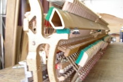 DSC01070