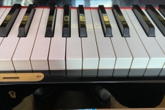 ovlaživač u pianinu
