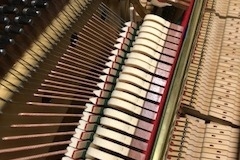 img_1081