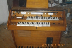 IMGP0341