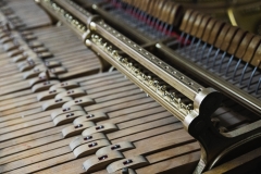 20200204_ivicaderner-instrumenti_7372