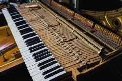 20200204_ivicaderner-instrumenti_7375